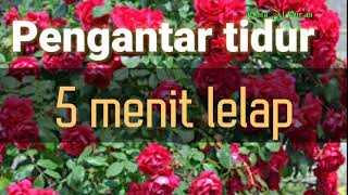 Download lagu Dengarkan lagu sholawat ini 5 menit terlelap | lagu pengantar tidur mp3