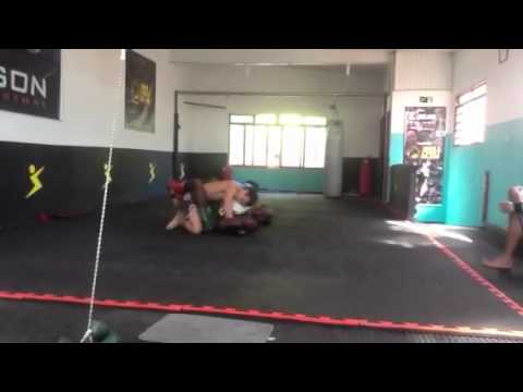 Bull fight club cuscianna