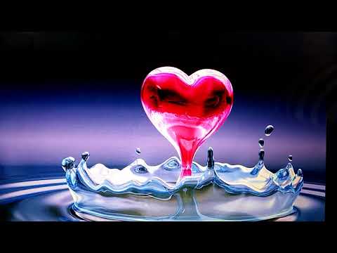 Zlatni savjeti Omladini - Mr. Elvedin Pezic