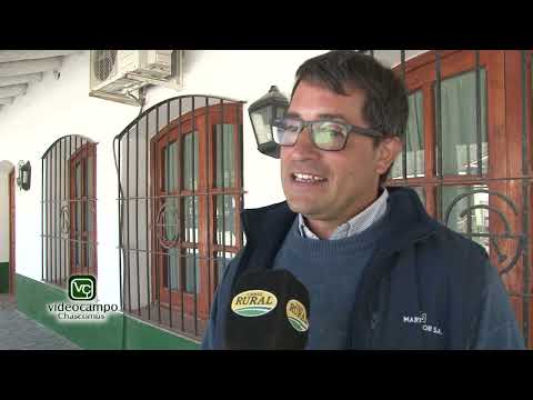 Remate Inauguración de Martín G. Lalor en Chascomús