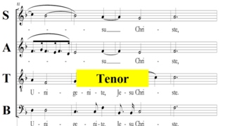 Vivaldi - Gloria - RV589  - 7 Domine Fili - Tenor