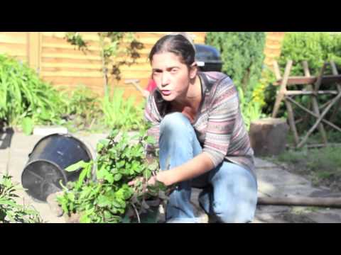 Juliette's Kitchen - Planting a Medicinal Herb Garden
