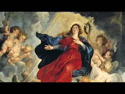 In cælis assumpta (Fiocco) Deborah Cachet