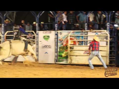 João Ricardo Vieira x Problema do Máximos Araçatuba 91,75