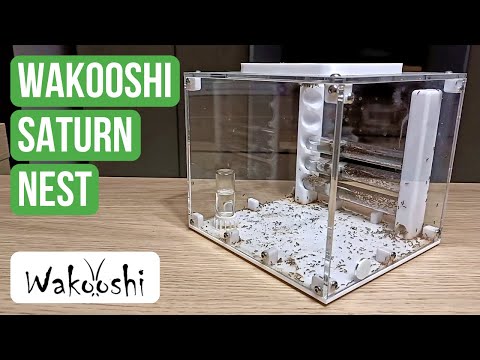 Recensione Del Nido WaKooshi Saturn