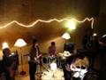 Jonquil - Lions 
