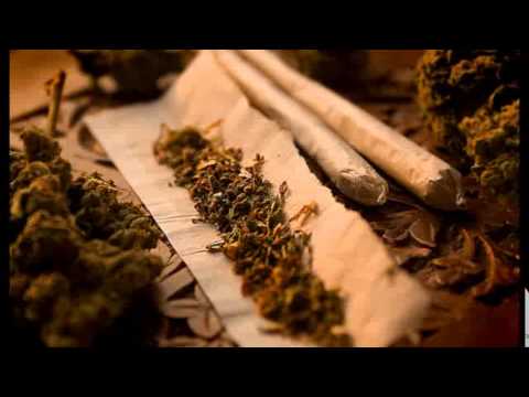 Kstwo Party/Kolorowyksiaze