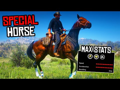 How To Get Special TURKOMAN still WORKS (Braithwaite Turkoman) - RDR 2