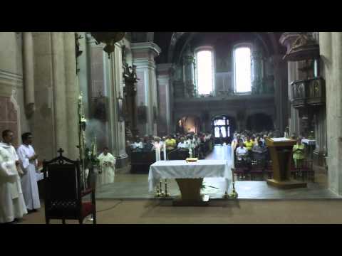 JKS 438 - Spôsobom podivným (k sv. Dominikovi)