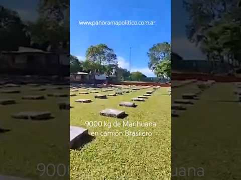 9000 kg de Marihuana en camon Brasilero descubierto por #gendarmeria en #eldorado Misiones #policiai