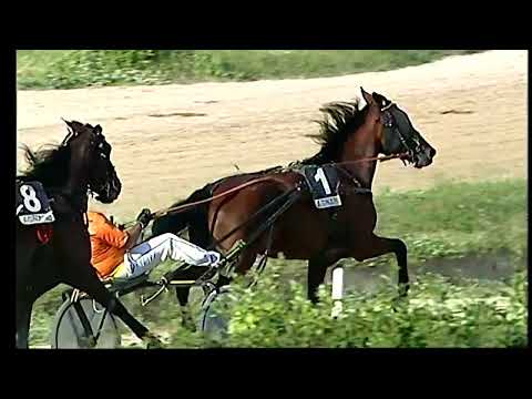 Napoli Trotto 23/09/2022 - 5ª corsa