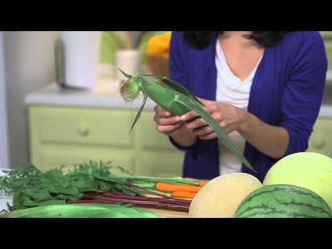 download lagu mp3 mp4 What Are Seasonal Foods, download lagu What Are Seasonal Foods gratis, unduh video klip What Are Seasonal Foods