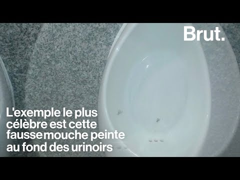 What is the "nudge theory," which won the Nobel Prize in Economics?