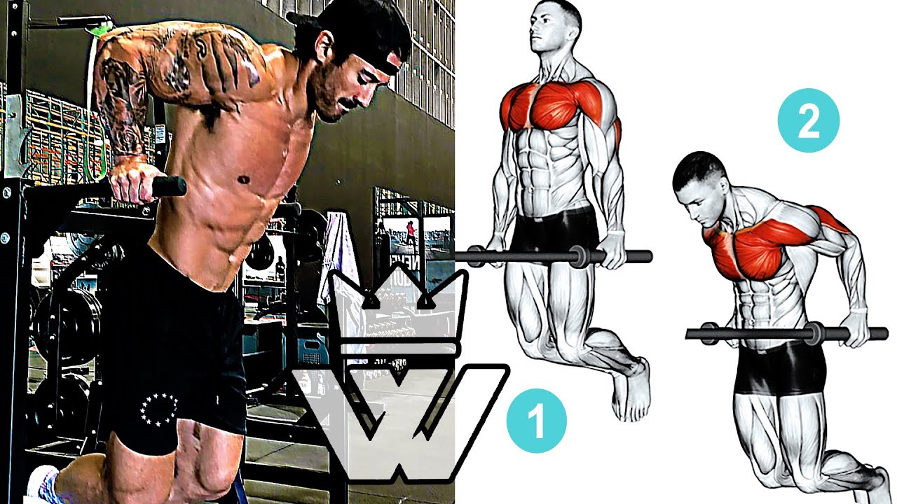 13 Exercises for Building Muscle