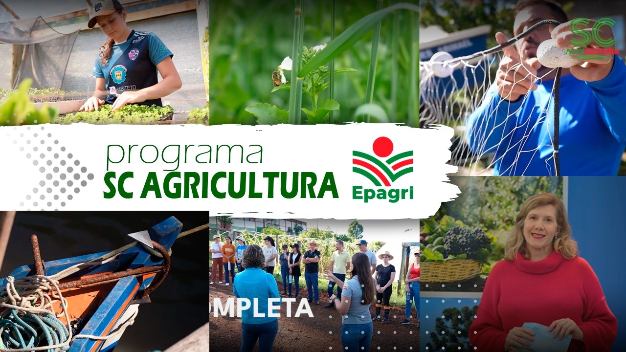 SC Agricultura: Redes de Pesca Artesanal, Agricultura Regenerativa e CEDUPs