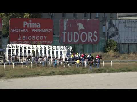 DERBY DAY 2020god.Beograd treca trka
