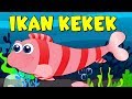 Lagu Kanak Kanak Melayu Malaysia - IKAN KEKEK