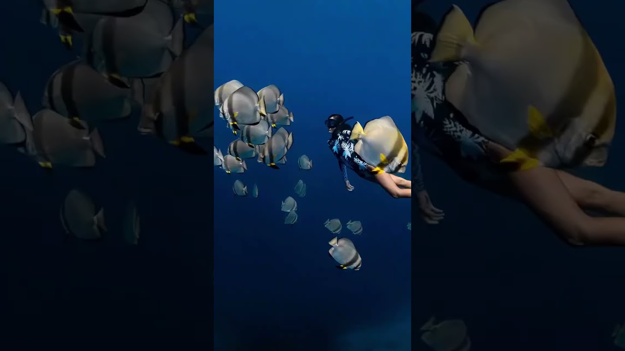 Beauty beneath the surface 🌊