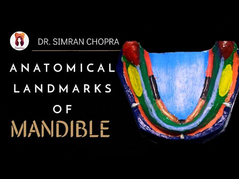 Anatomical Landmarks Of Mandible l Mandibular Landmarks l Prosthodontics