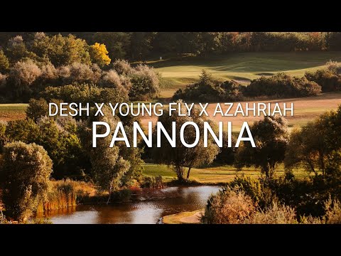 DESH - PANNONIA (w/ Young Fly, Azahriah) on Spotify Charts