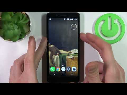 How to Take and Locate a Screenshot on ALCATEL 1C (2019)