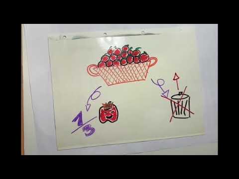 “LA VIDA DE JOAQUI, LA MANZANA”