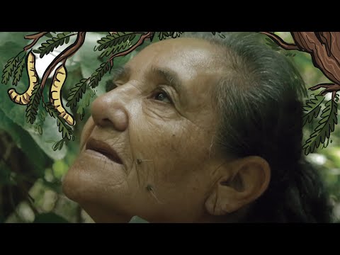 Chinina Documental (2023) - Córdoba Capital, Argentina.