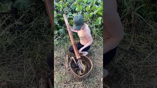 Download lagu Survival eel trapping skills to catch giant eels fish mp3
