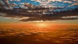 Y.O.M.C - Oasis