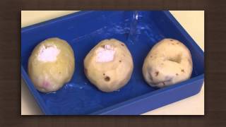 Potato experiment | Osmosis | Biology
