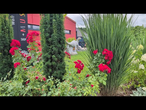 Welt der Kristalle 2024