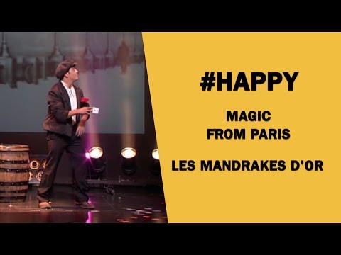 HAPPY - MANDRAKES D'OR