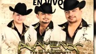 Amar De Mas (En Vivo) Lyrics English Translation