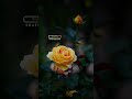 Islamic Whatsapp Status Malayalam New MadhSong Status 2022 Madh Song Malayalam Whatsapp Status