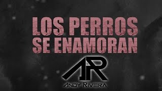 Andy Rivera y Nicky Jam - Los Perros Se Enamoran [Lyric Video] ®