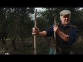 Hedge Laying With Nigel Adams