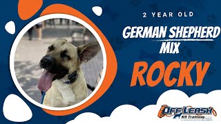 Download Lagu Best German Shepherd Mix Dog Training | Central Coast, CA | Rocky Thumbnail