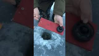 Ловля щуки зимой на вьюна