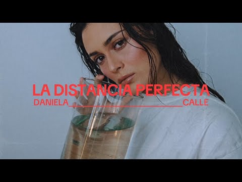 Miniatura de La Distancia Perfecta