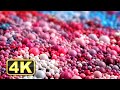 4K Macro Satisfying Colorful Liquid Spheres! Relaxing Music for Meditation. Fall Asleep Fast! Paint