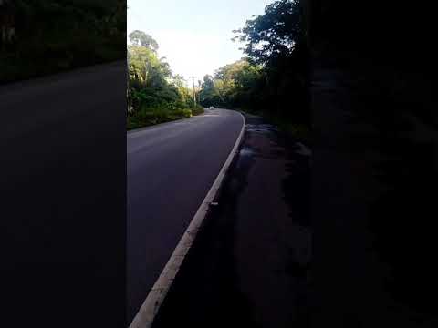 Girinho solitário de domingo