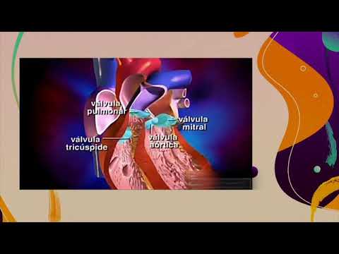 #DiálogosSalud - El funcionamiento del corazón del feto (15/02/2021)