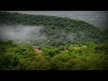 Mahadeva Tera Damru Dam Dam Whatsapp Status