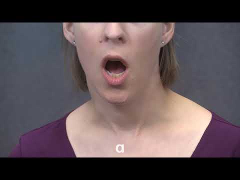 /ɑ/ and /æ/ - Compare (American English Sounds)