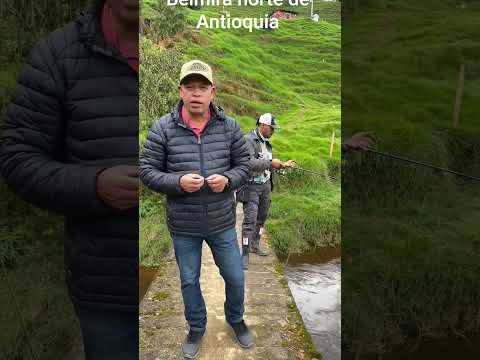 Concurso  pesca 🎣 🐠 Trucha Arcoiris en el Corregimiento Labores municipio Belmira norte de Antioquia