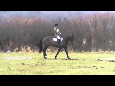 Moreton Novice Dressage (full)