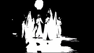 BIG-ELECTRIC-CAT - orchid dreaming