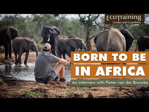 Born to be a Guide in Africa | Interview with Pieter Vandenbroucke
