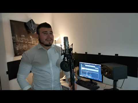 Dajem ti rič - Dalmatino (Cover Studio Session by Mihael Besten)