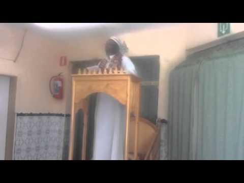 Khutba jummah al haji 28/08/2015